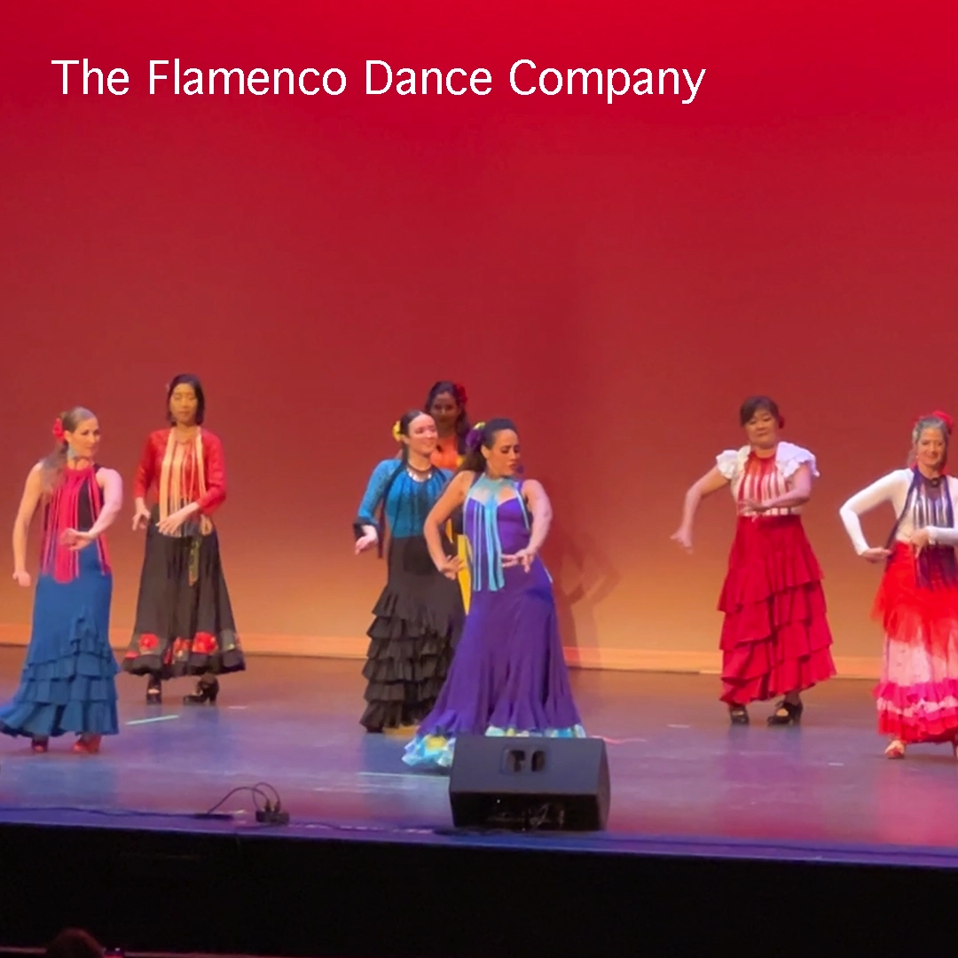 The Flamenco Dance Co