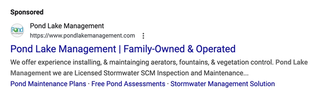 Google Sponsored Ads Google Reviews Example